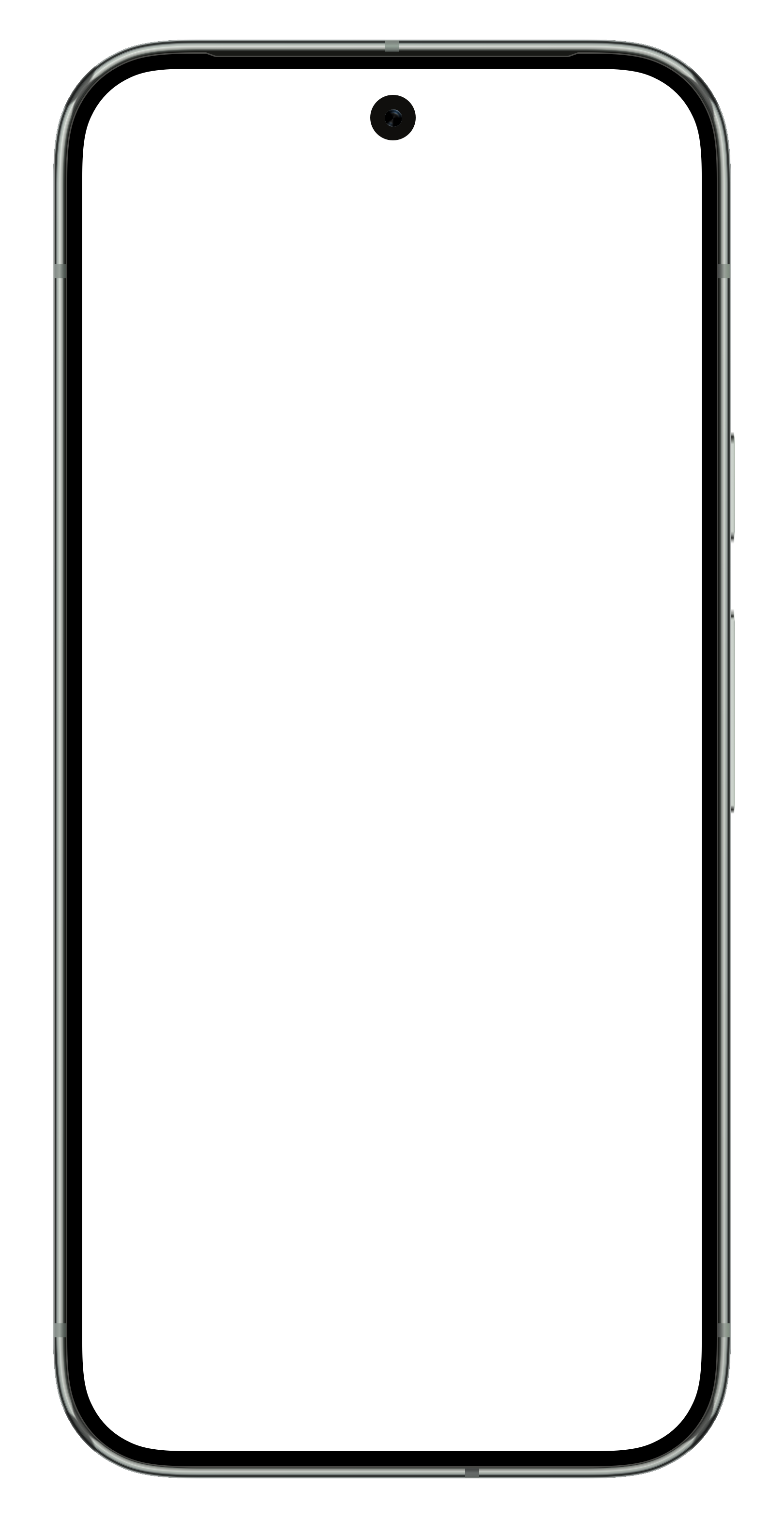 Google Pixel 9 Pro Hardware Frame